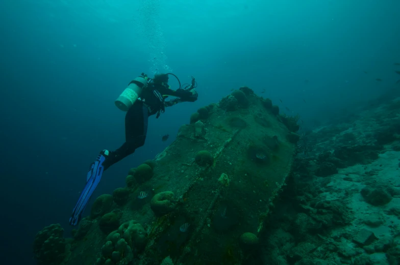 a person that is diving in the water, shipwrecks, f / 2 0, mariana trench, tall shot