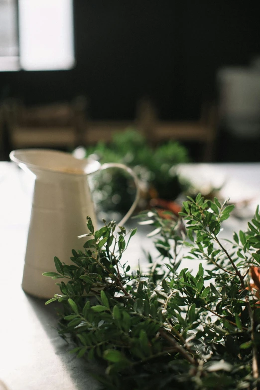 a white pitcher sitting on top of a table, by Jessie Algie, unsplash, has a laurel wreath, herbs, ready to model, olive garden