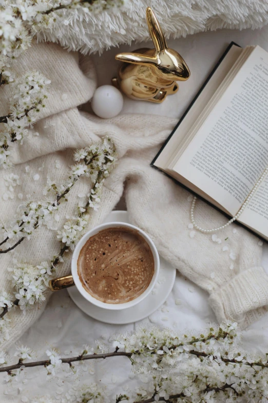 an open book sitting on top of a bed next to a cup of coffee, by Lucia Peka, pexels contest winner, romanticism, early spring, thumbnail, browns and whites, bronze