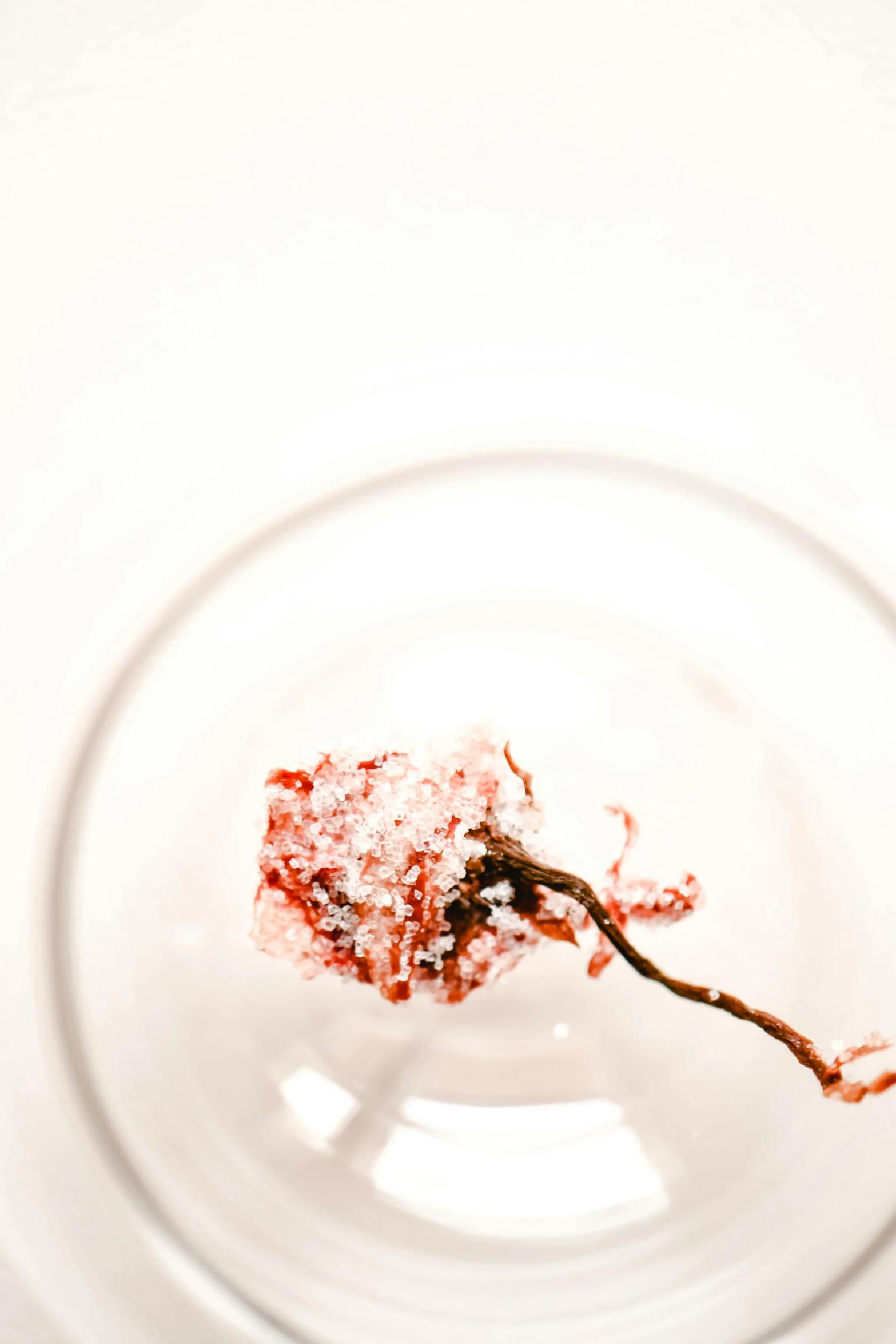 a piece of cake sitting on top of a glass plate, inspired by Alberto Seveso, unsplash, process art, white salt, on a branch, crimson, ignant