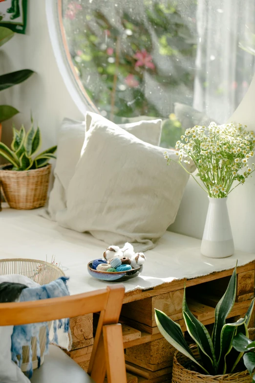 a potted plant sitting on top of a table next to a window, a still life, trending on unsplash, light and space, light beige pillows, reading nook, sitting with flowers, full sun