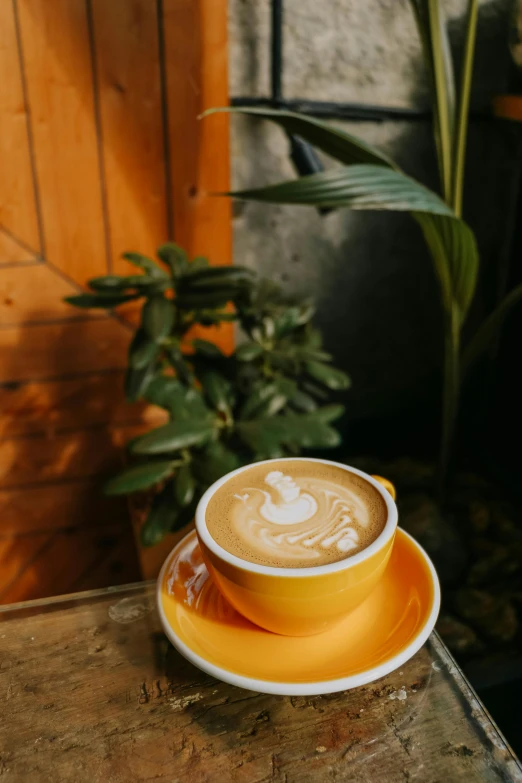 a cup of coffee sitting on top of a wooden table, by Jessie Algie, trending on unsplash, sumatraism, yellow, thumbnail, latte art, jungle setting
