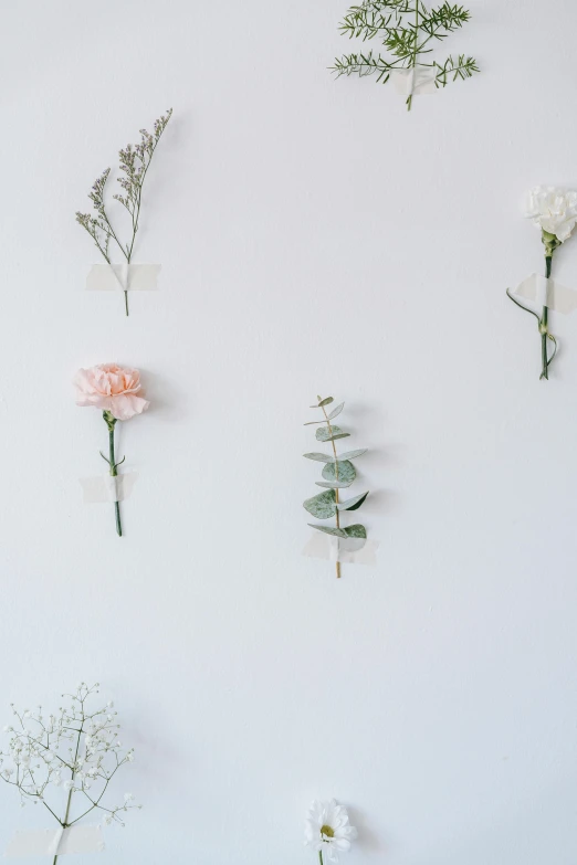 a bunch of flowers that are on a wall, trending on unsplash, romanticism, white minimalistic background, made of silk paper, various styles, minimal design