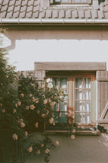 a cat sitting on a window sill in front of a house, a polaroid photo, unsplash contest winner, romanticism, portal made of roses, wood door, sunfaded, cottages