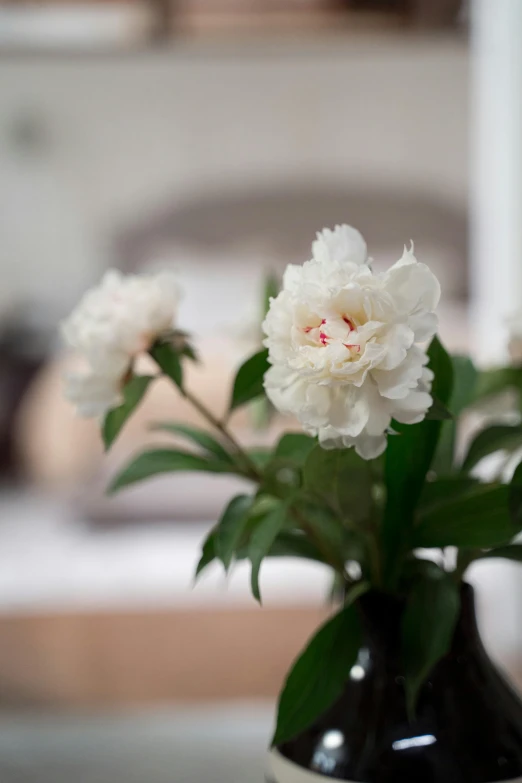 a black vase with some white flowers in it, a still life, unsplash, romanticism, peony flower, bedroom, two, blurred detail
