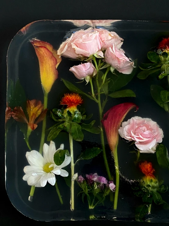 a tray filled with different types of flowers, inspired by François Boquet, process art, surreal water art, medium format color photography, ignant, roses