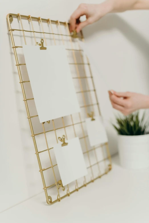 a person holding a picture frame next to a potted plant, gold wires, organized, on a desk, grid