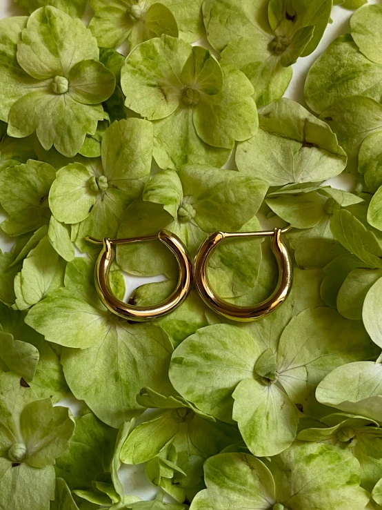 a close up of a pair of gold hoop earrings, a picture, by Nina Hamnett, unsplash, hurufiyya, greenery, detailed product image, close up front view, photo 1 5 mm