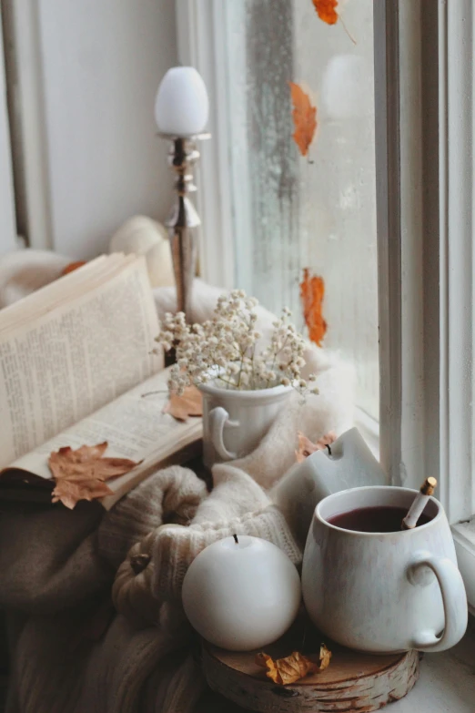 a cup of coffee sitting on top of a window sill, a still life, by Anna Haifisch, pexels contest winner, romanticism, muted fall colors, reading nook, gif, grey