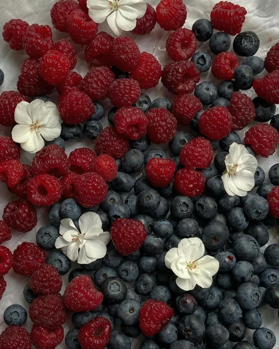 a white plate topped with blueberries and raspberries, trending on unsplash, renaissance, red and white flowers, 🎀 🧟 🍓 🧚, fresh fruit, background image