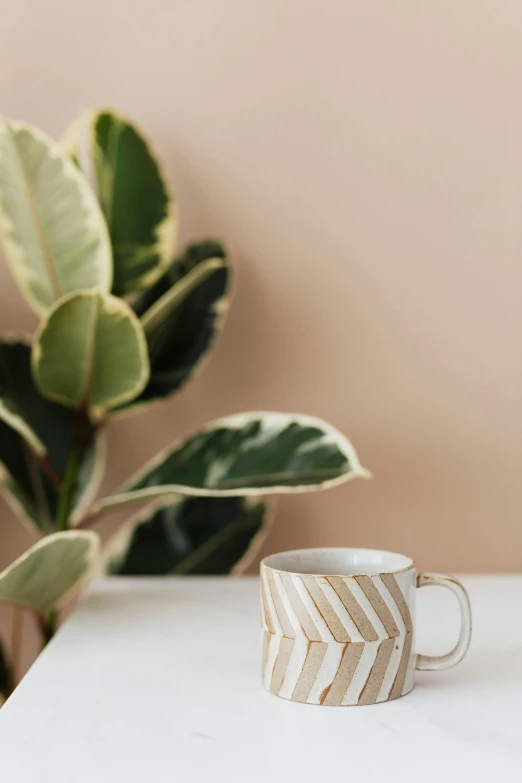 a cup sitting on top of a table next to a plant, by Jessie Algie, trending on pexels, beige and gold tones, striped, magnolia, detailed product image