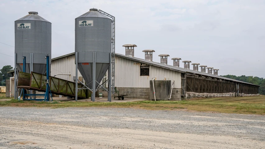 a couple of silos sitting on top of a dirt field, chicken, profile image, inside a farm barn, multiple stories