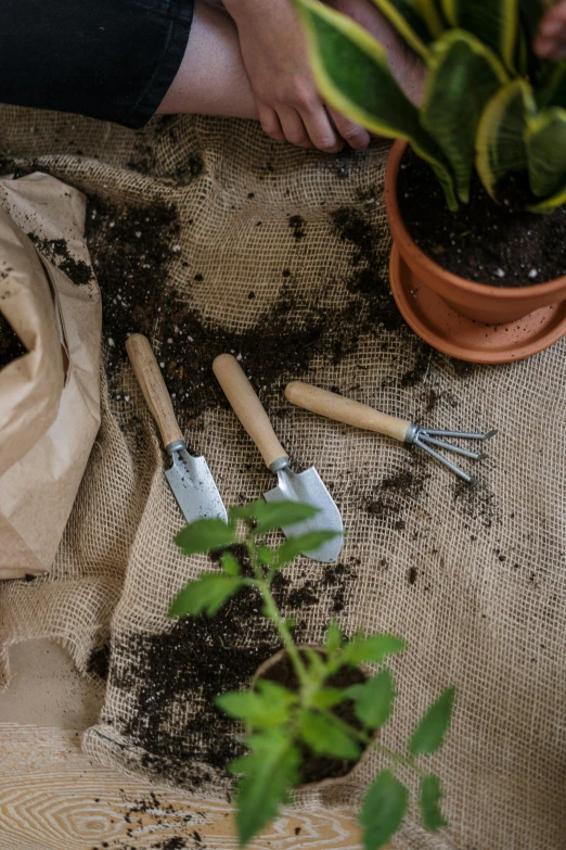 a person sitting on the ground next to a potted plant, a still life, by Adriaen Hanneman, unsplash, spanners, high angle close up shot, burlap, a paper cutout garden