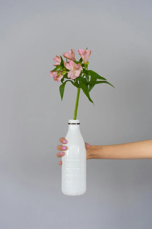 a person holding a white vase with pink flowers in it, inspired by François Boquet, unsplash, holding a bottle of arak, upcycled, front top side view, long arm
