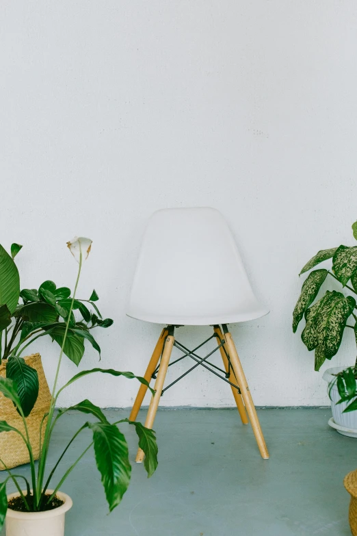 a white chair sitting on top of a blue floor next to potted plants, trending on unsplash, with a white background, front lit, sittin, pyramid surrounded with greenery