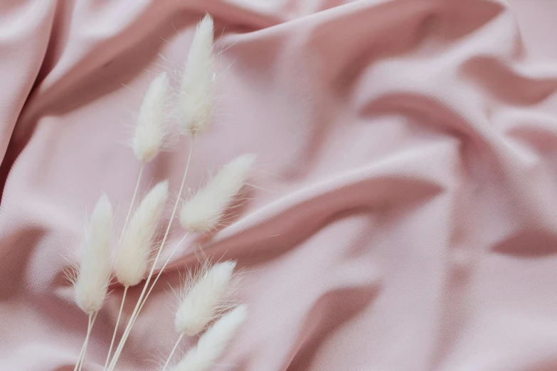 a bunch of white flowers sitting on top of a pink cloth, trending on pexels, silk flowing in wind, fleurfurr, willow plant, made of fabric