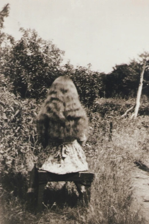 a black and white photo of a woman sitting on a bench, an album cover, inspired by Nell Dorr, unsplash, pre-raphaelitism, walking in high grass field, extremely long thick blond hair, old color photograph, unsettling found footage