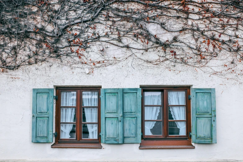 a couple of windows sitting on the side of a building, a colorized photo, by Matthias Weischer, pexels contest winner, vines and thorns, brown and cyan color scheme, cottagecore, shutters