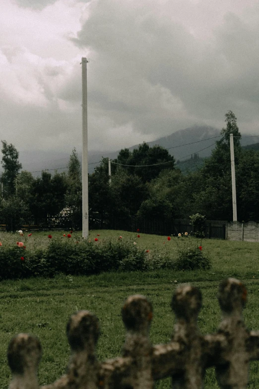 a clock tower sitting on top of a lush green field, by Muggur, gloomy cinematic lighting, there's flowers everywhere, panorama view, the graveyard