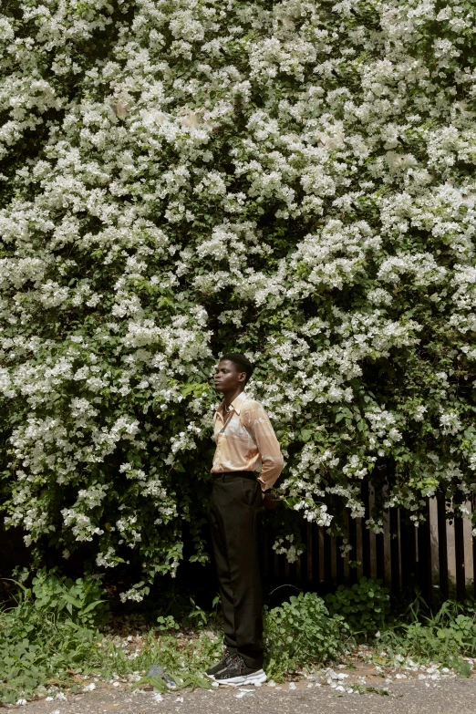 a man standing in front of a bush of white flowers, by Winona Nelson, trending on unsplash, renaissance, adut akech, queer woman, with a tall tree, in savannah