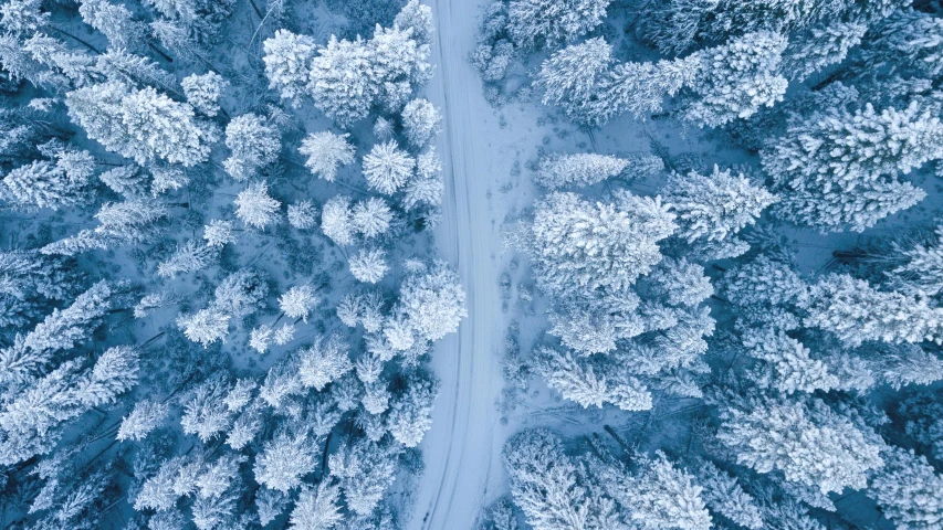 a road in the middle of a snowy forest, an album cover, by Adam Marczyński, unsplash contest winner, helicopter view, blue and white, thumbnail, holiday season