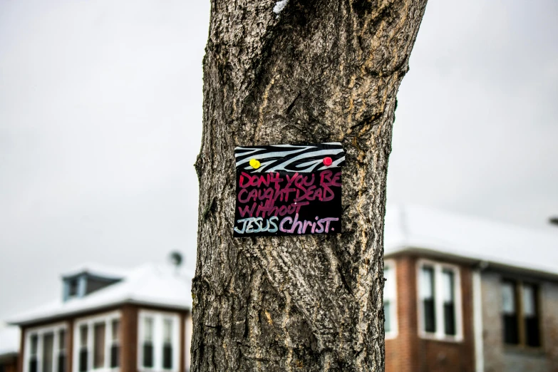 a sign attached to a tree in front of a house, by Julia Pishtar, unsplash, street art, jesus, toronto, ((trees)), gary chalk