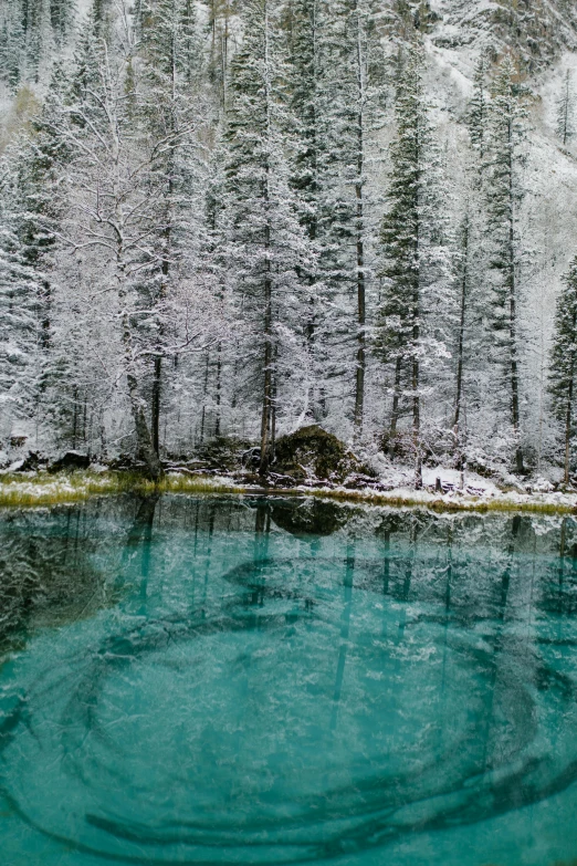 a body of water surrounded by snow covered trees, lago di sorapis, alessio albi, award winning image