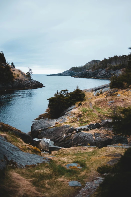 a body of water sitting on top of a lush green hillside, by Jessie Algie, pexels contest winner, archipelago, mid fall, rocky coast, today\'s featured photograph 4k