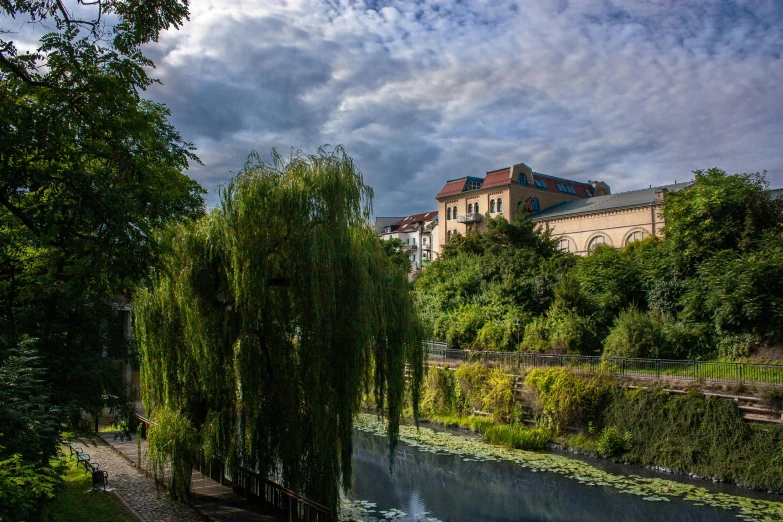 a river running through a lush green forest, a picture, by Micha Klein, pexels contest winner, bauhaus, old city, willow tree, in legnica, skies behind