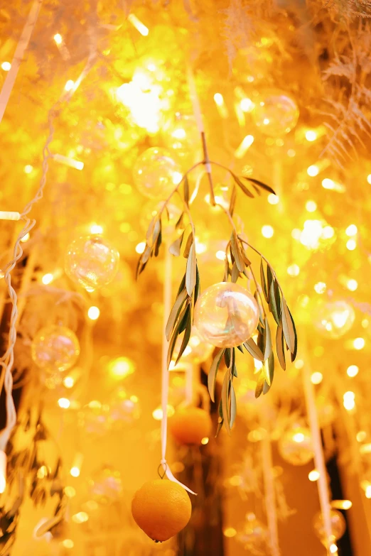 a bunch of oranges hanging from a tree, inspired by Bruce Munro, light and space, gold leaves, ethereal bubbles, indoor soft lighting, brightly-lit