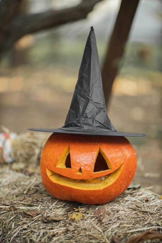 a pumpkin sitting on top of a pile of hay, pexels, conceptual art, wearing black witch hat, cone shaped, hi - res, no - text no - logo