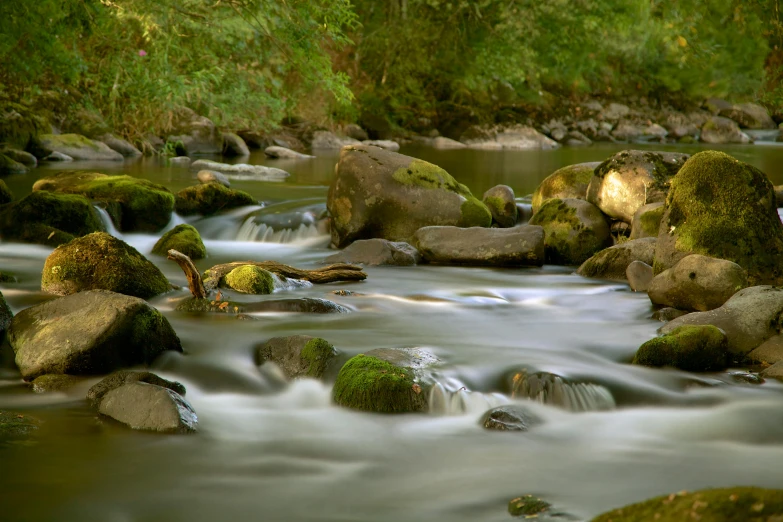 a stream running through a lush green forest, pexels contest winner, floating rocks, evening light, brown, grey