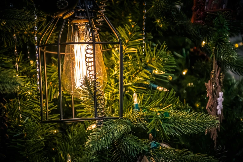a close up of a light on a christmas tree, by Alexander Fedosav, pexels, edison bulb, lantern light besides, ultra detailed wire decoration, a green