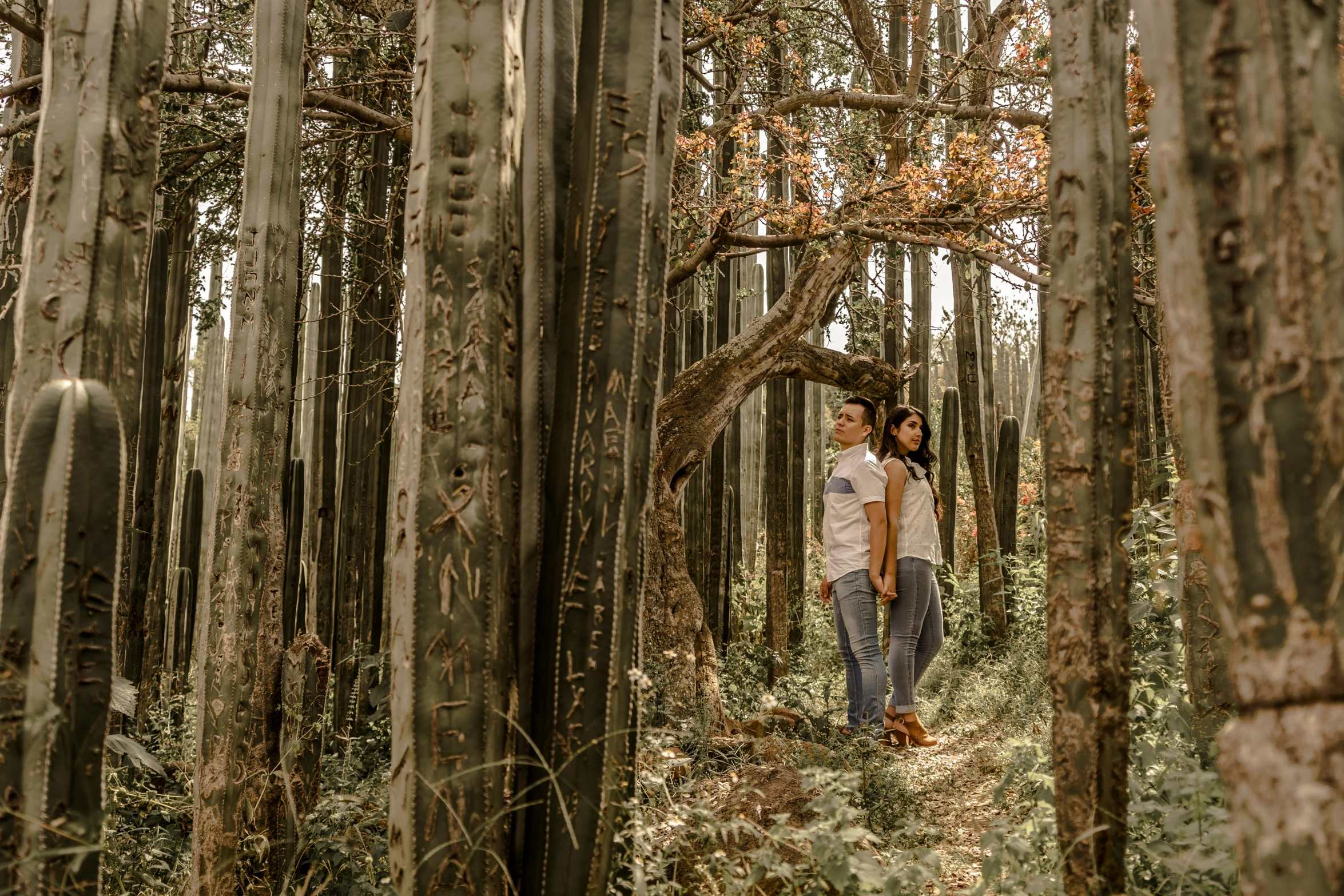 a woman standing in the middle of a forest, by Alejandro Obregón, pexels contest winner, man and woman walking together, eucalyptus, avatar image, mexico city