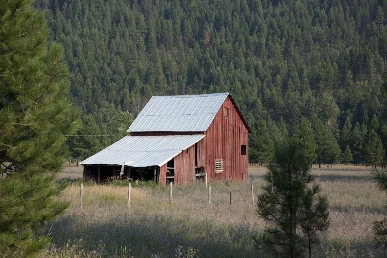 a red barn in a field with trees in the background, by Jim Nelson, unsplash, renaissance, black fir, rocky meadows, profile image, galvalume metal roofing