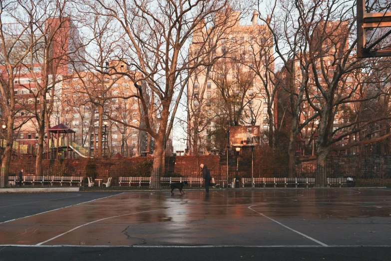 a couple of people standing on top of a basketball court, a picture, inspired by Paul Cornoyer, unsplash contest winner, in a city park, new york streets, muddy village square, empty streetscapes