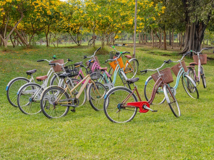 a bunch of bikes that are sitting in the grass