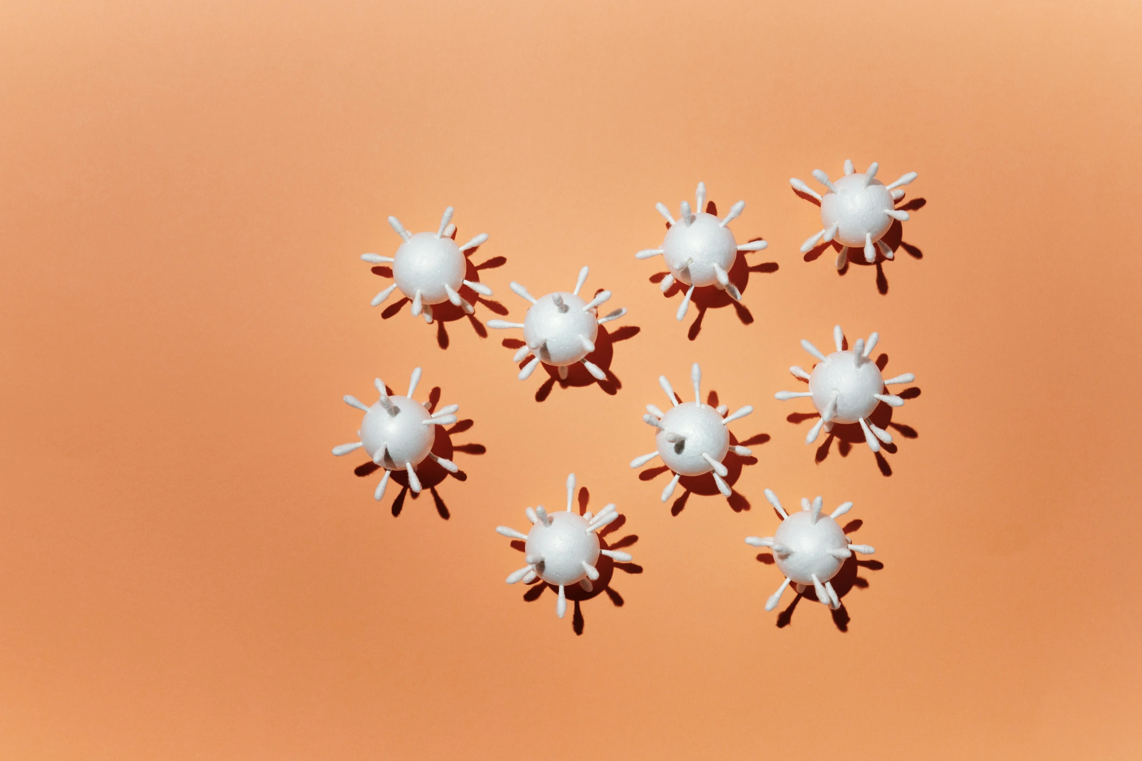 a group of small white flowers sitting on top of a table, a microscopic photo, inspired by Otto Piene, trending on pexels, antipodeans, made of swiss cheese wheels, wearing spikes and piercings, white and orange, toys