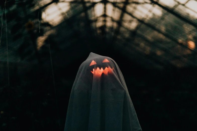 a person in a ghost costume standing in a greenhouse, pexels contest winner, dark cape, orange halo around her head, ☁🌪🌙👩🏾, funeral veil