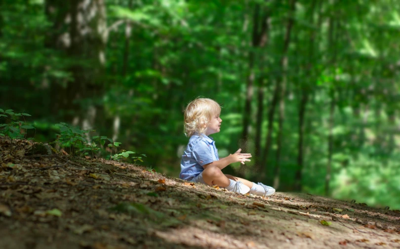 a little boy sitting on the ground in the woods, pexels, avatar image, high resolution, panels, waving