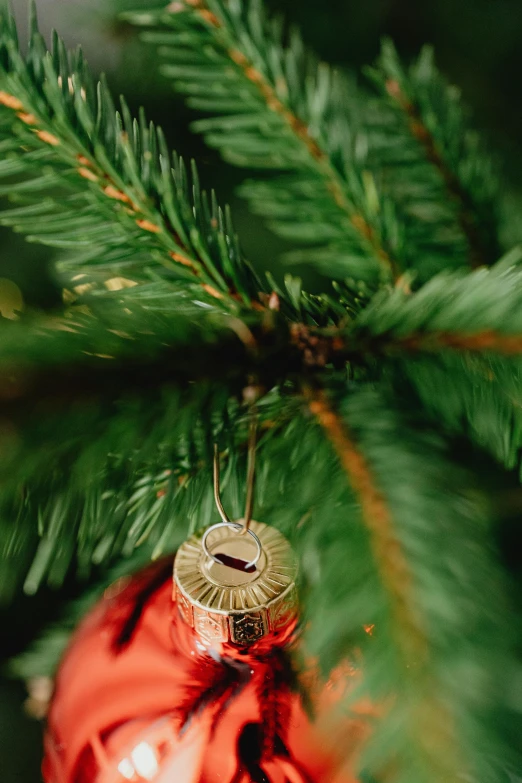 a red ornament hanging from a christmas tree, by Jesper Knudsen, pexels, folk art, smooth tiny details, a green, promo image, hibernation capsule close-up