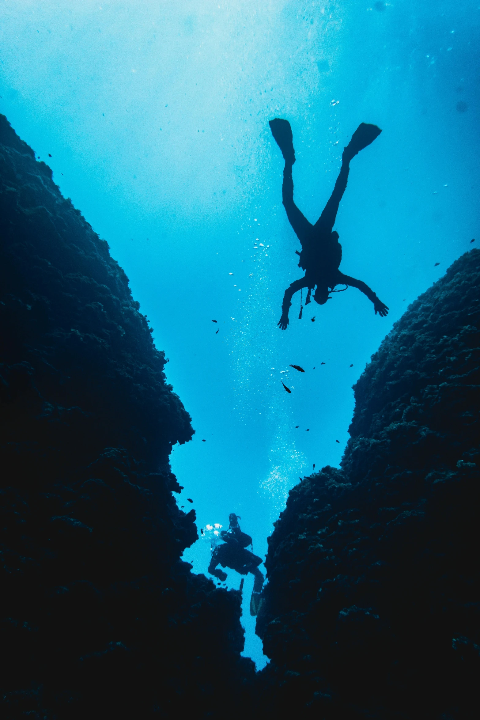 a person diving through a deep blue ocean, humans exploring, reefs, dwell, f / 2 0