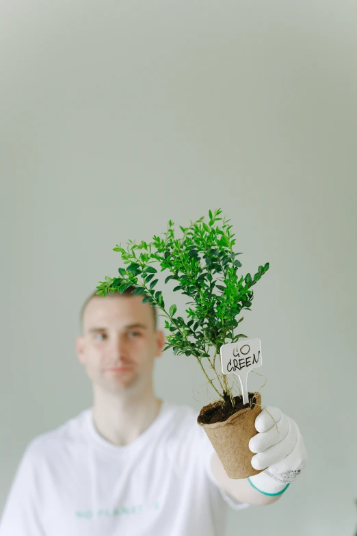 a man in a white shirt holding a potted plant, an album cover, unsplash, its name is greeny, sustainable materials, portrait image, cardboard