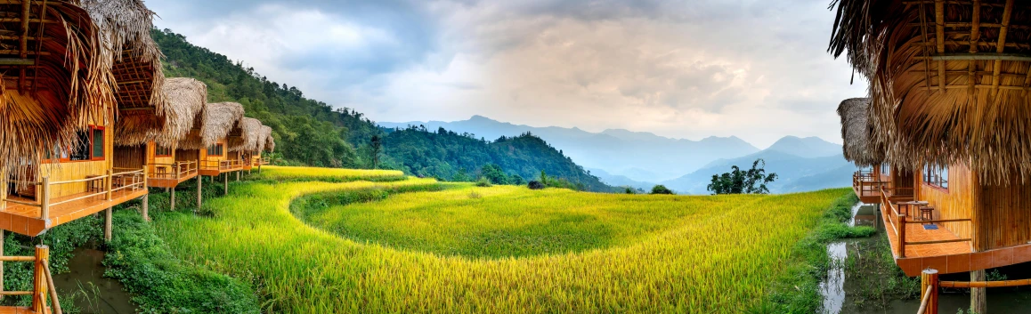 a group of huts sitting on top of a lush green field, by Daren Bader, pexels contest winner, sumatraism, panoramic widescreen view, nepal, wheat field, yellow and greens