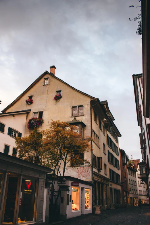 a couple of buildings sitting on the side of a road, inspired by Karl Stauffer-Bern, pexels contest winner, muted fall colors, overcast dusk, brown flowers, many windows