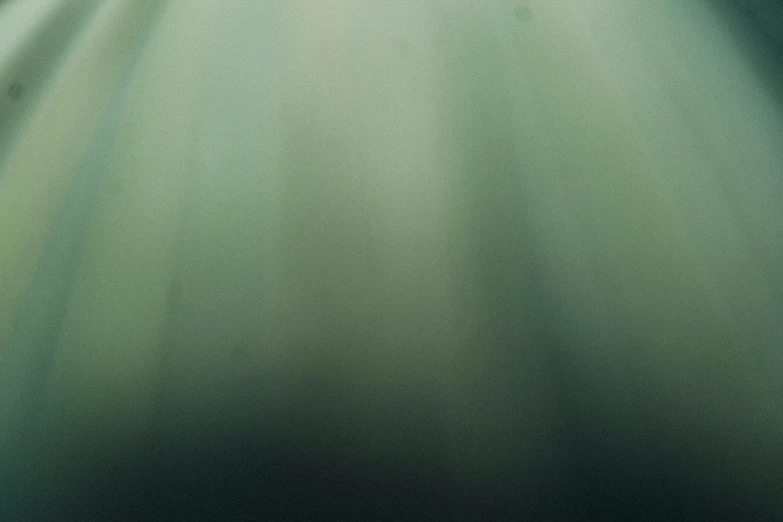 a blurry photo of a person riding a skateboard, an album cover, inspired by Elsa Bleda, deviantart, tonalism, underwater view, green fog, rays, muted green