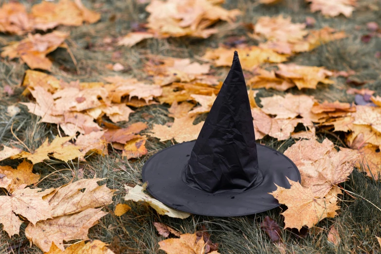 a witch hat sitting on top of a pile of leaves, pexels, cardboard, black, medium, feature