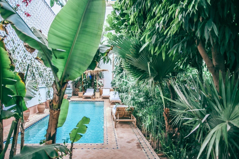 a pool in the middle of a tropical garden, inspired by Riad Beyrouti, trending on unsplash, nomad, 🦩🪐🐞👩🏻🦳, paradise garden massage, green house