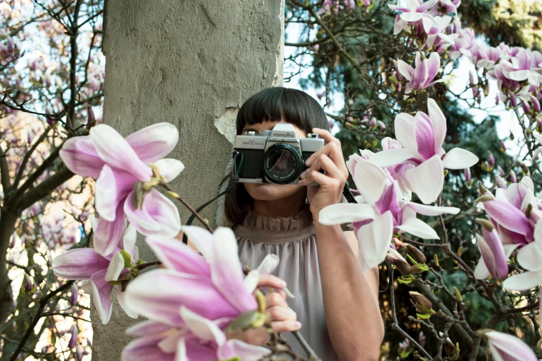 a woman taking a picture of flowers with a camera, a picture, inspired by Vivian Maier, pexels contest winner, magnolias, ancient garden behind her, hasselblad medium format, low colour