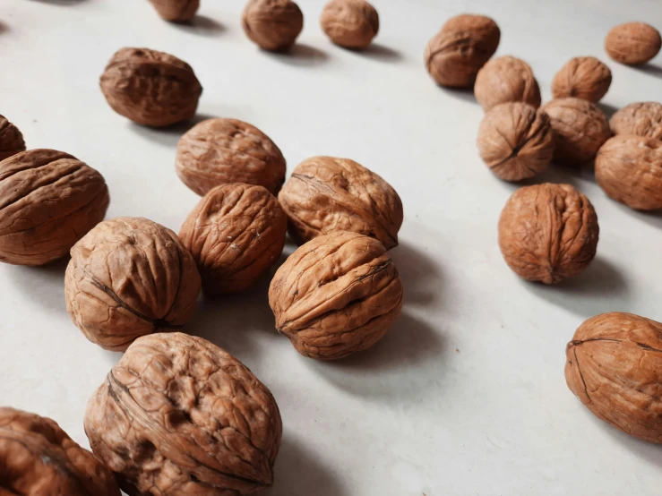 a bunch of walnuts sitting on top of a table, inspired by Károly Markó the Elder, trending on pexels, on a pale background, profile image, background image, chilean